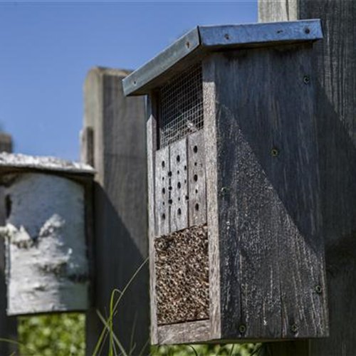 Ein Insektenhotel im Garten