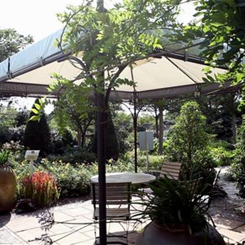 Gartengestaltung - Mediterraner Garten