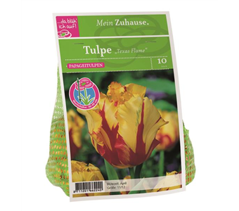 Blumenzwiebel Tulpe 'Texas Flame'